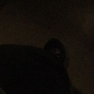 Meet your Posher, Terri j